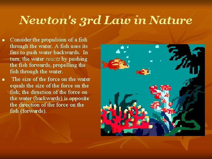 Newton’s 3 rd Law in Nature n n Consider the propulsion of a fish