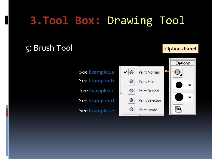 3. Tool Box: Drawing Tool 5) Brush Tool Options Panel See Example 1. a
