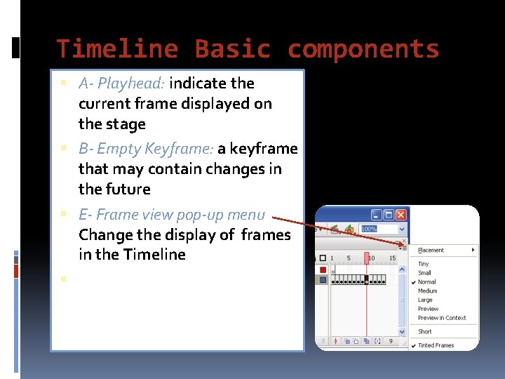 Timeline Basic components A- Playhead: indicate the current frame displayed on the stage B-