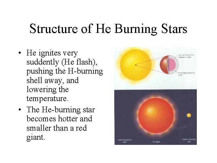 Structure of He Burning Stars • He ignites very suddently (He flash), pushing the