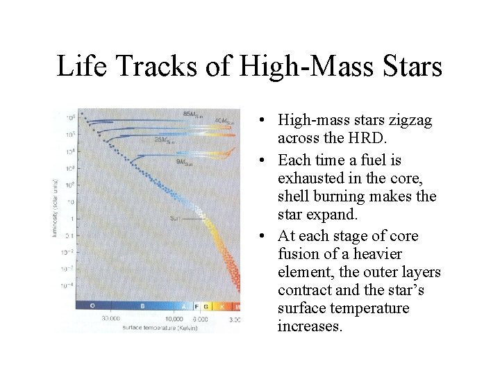 Life Tracks of High-Mass Stars • High-mass stars zigzag across the HRD. • Each