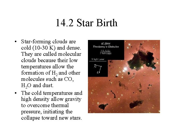 14. 2 Star Birth • Star-forming clouds are cold (10 -30 K) and dense.