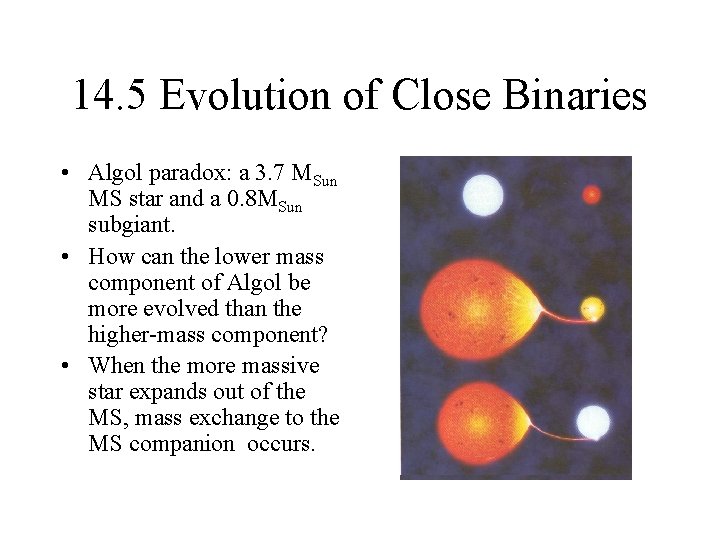14. 5 Evolution of Close Binaries • Algol paradox: a 3. 7 MSun MS