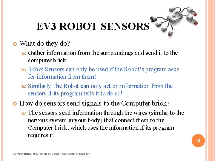EV 3 ROBOT SENSORS What do they do? Gather information from the surroundings and