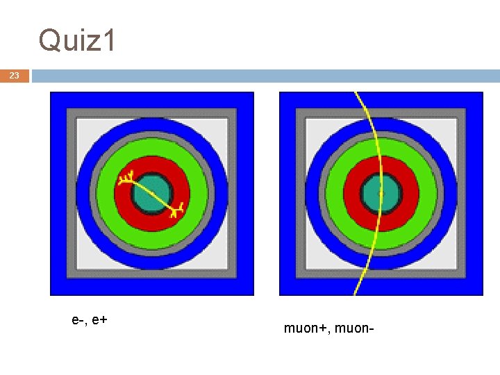 Quiz 1 23 e-, e+ muon+, muon- 