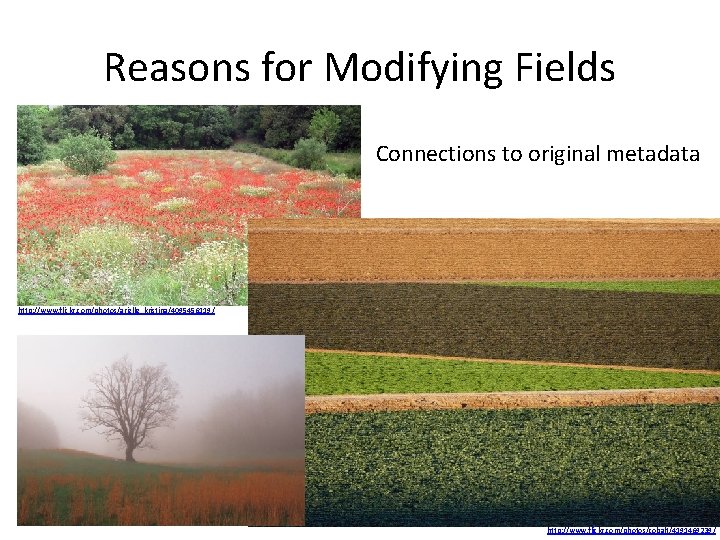 Reasons for Modifying Fields Connections to original metadata http: //www. flickr. com/photos/arielle_kristina/4095456119/ http: //www.