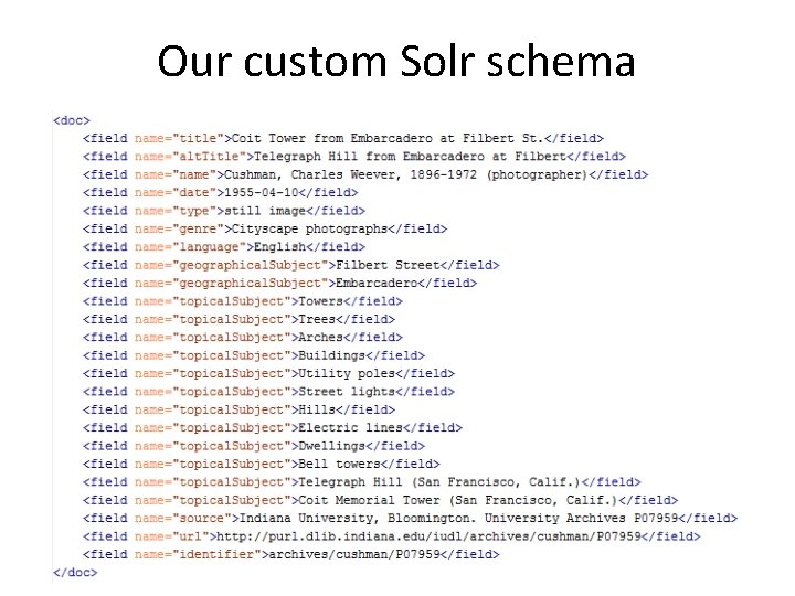 Our custom Solr schema 