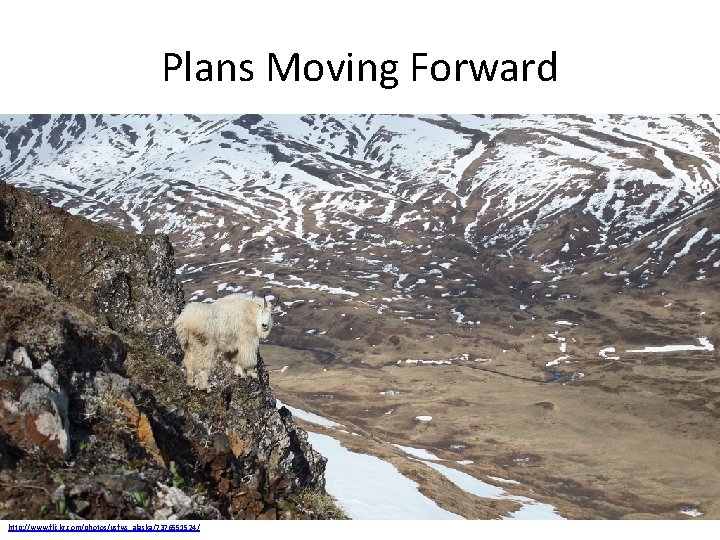 Plans Moving Forward http: //www. flickr. com/photos/usfws_alaska/7376551524/ 