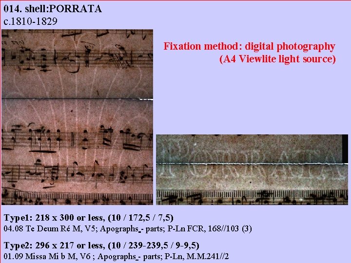 014. shell: PORRATA c. 1810 -1829 Fixation method: digital photography (A 4 Viewlite light