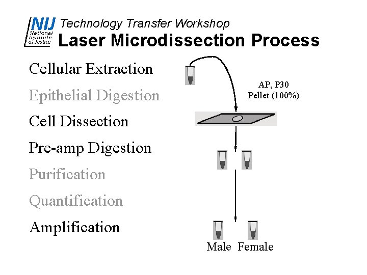 Technology Transfer Workshop Laser Microdissection Novel Processing Plan