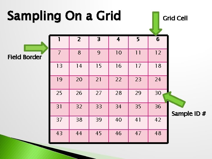 Sampling On a Grid Field Border Grid Cell 1 2 3 4 5 6