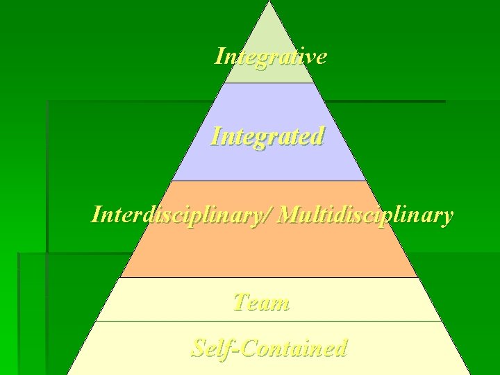 Integrative Integrated Interdisciplinary/ Multidisciplinary Team Self-Contained 