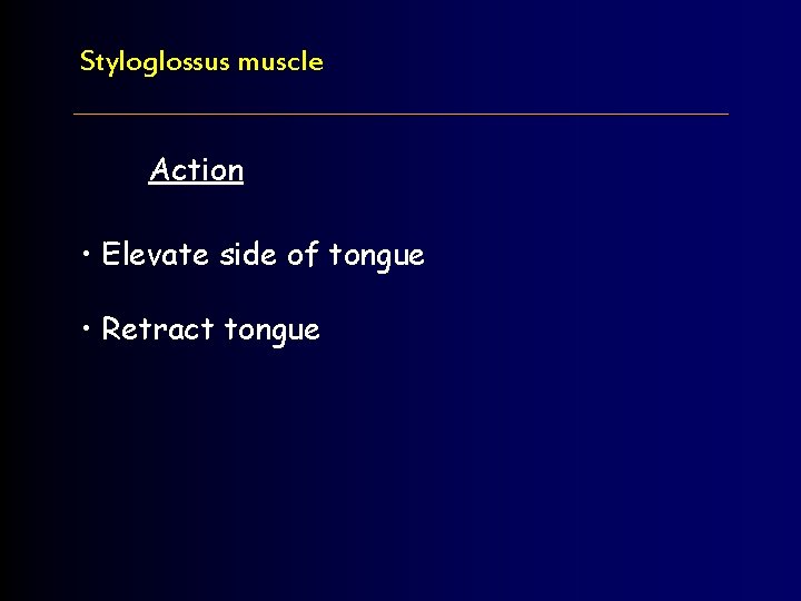 Styloglossus muscle Action • Elevate side of tongue • Retract tongue 