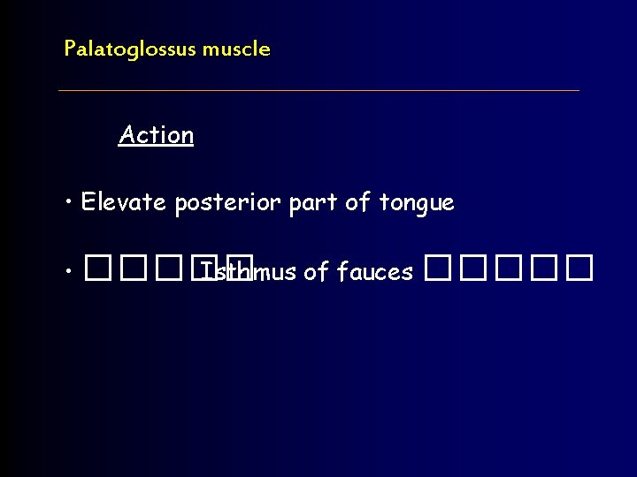 Palatoglossus muscle Action • Elevate posterior part of tongue • ����� Isthmus of fauces