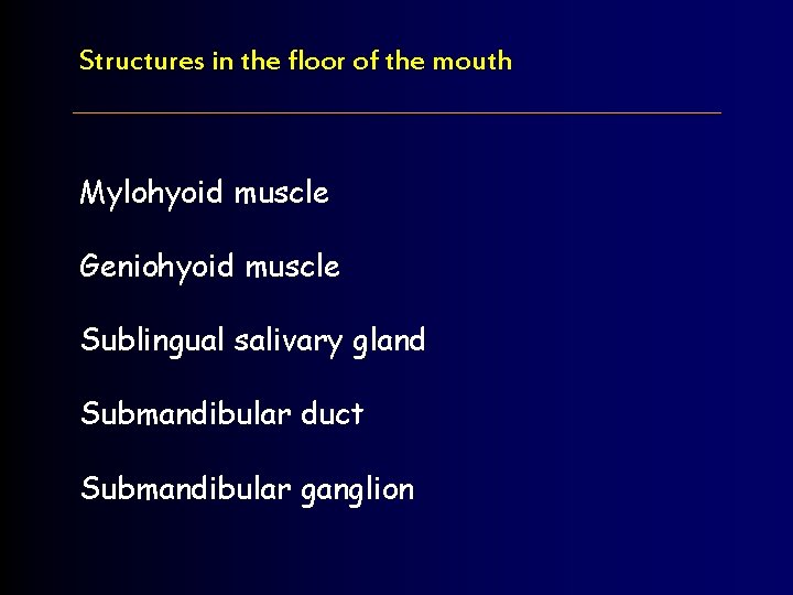 Structures in the floor of the mouth Mylohyoid muscle Geniohyoid muscle Sublingual salivary gland