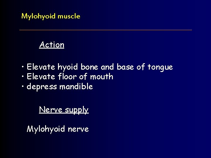 Mylohyoid muscle Action • Elevate hyoid bone and base of tongue • Elevate floor