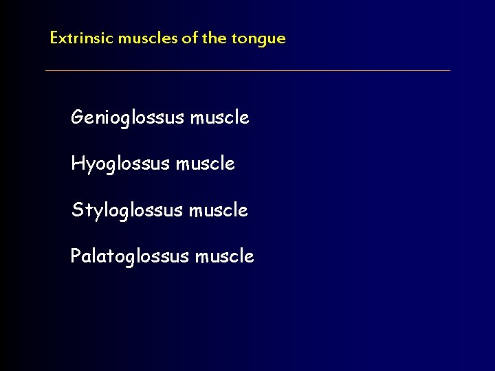 Extrinsic muscles of the tongue Genioglossus muscle Hyoglossus muscle Styloglossus muscle Palatoglossus muscle 