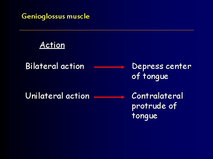 Genioglossus muscle Action Bilateral action Depress center of tongue Unilateral action Contralateral protrude of