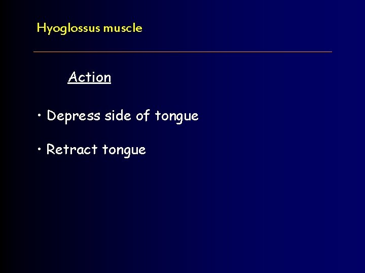 Hyoglossus muscle Action • Depress side of tongue • Retract tongue 