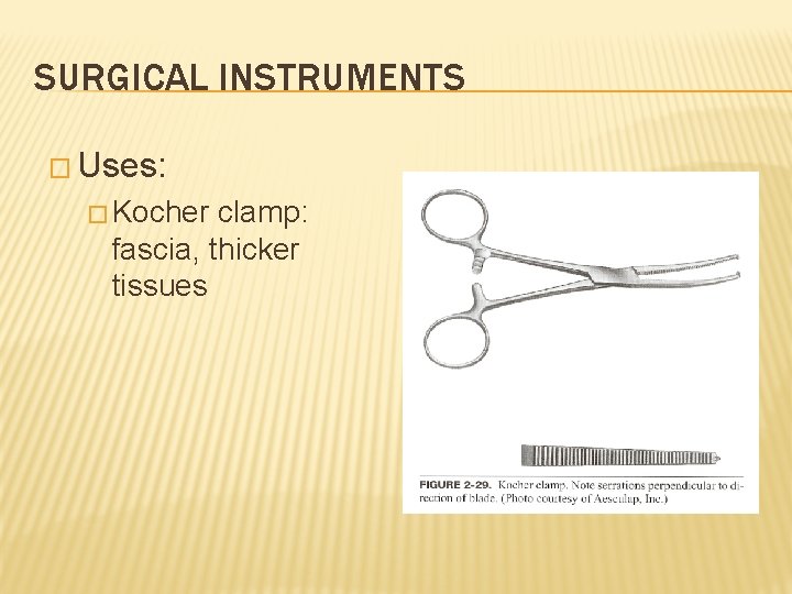 SURGICAL INSTRUMENTS � Uses: � Kocher clamp: fascia, thicker tissues 