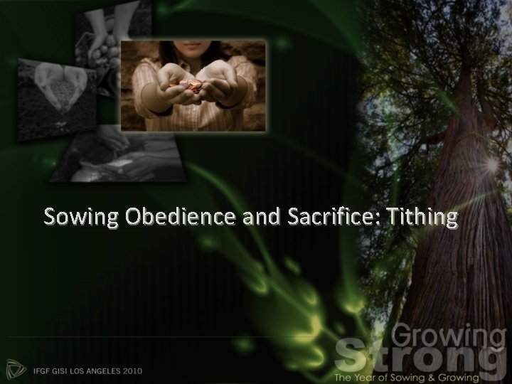 Sowing Obedience and Sacrifice: Tithing 
