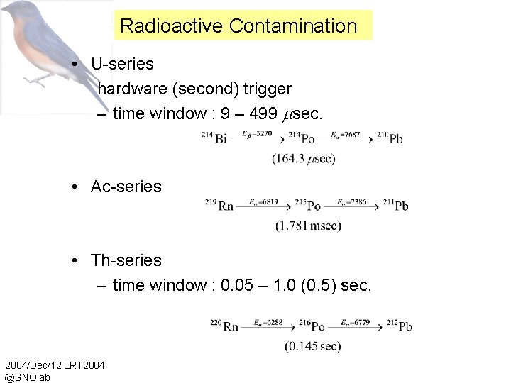 Radioactive Contamination • U-series hardware (second) trigger – time window : 9 – 499