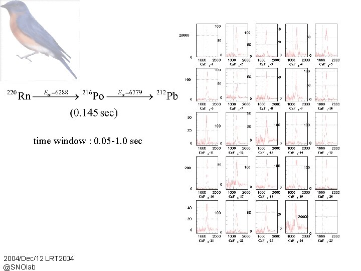 time window : 0. 05 -1. 0 sec 2004/Dec/12 LRT 2004 @SNOlab 