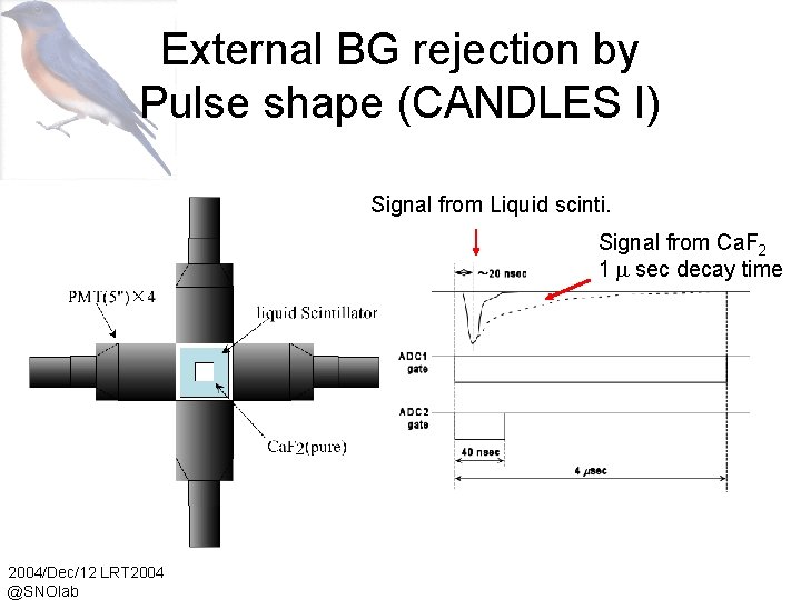 External BG rejection by Pulse shape (CANDLES I) Signal from Liquid scinti. Signal from