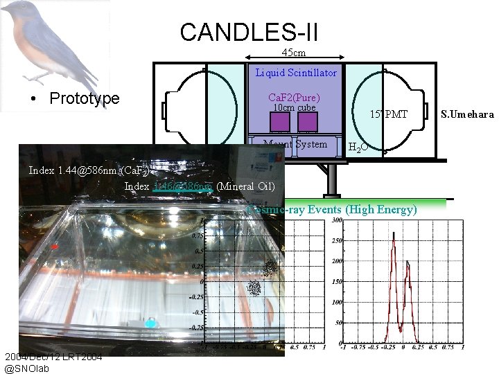 CANDLES-II 45 cm Liquid Scintillator • Prototype Ca. F 2(Pure) 10 cm cube Mount
