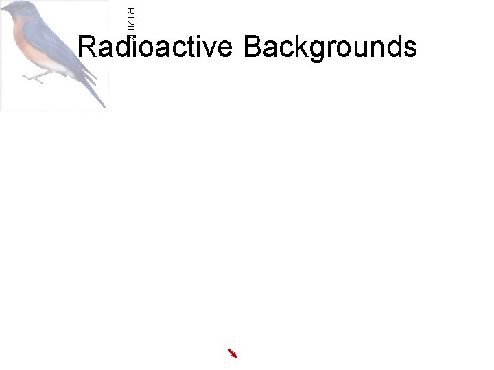 LRT 2004 Radioactive Backgrounds 