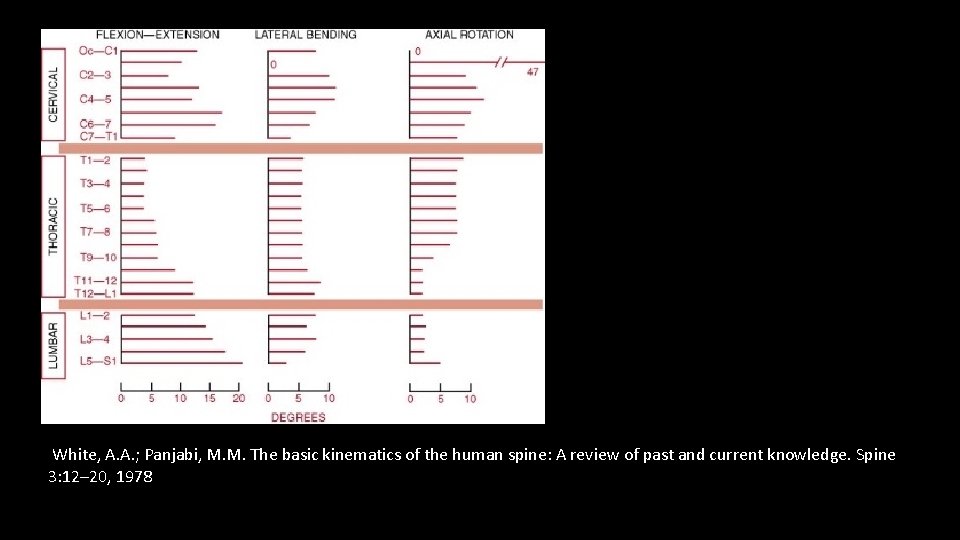  White, A. A. ; Panjabi, M. M. The basic kinematics of the human