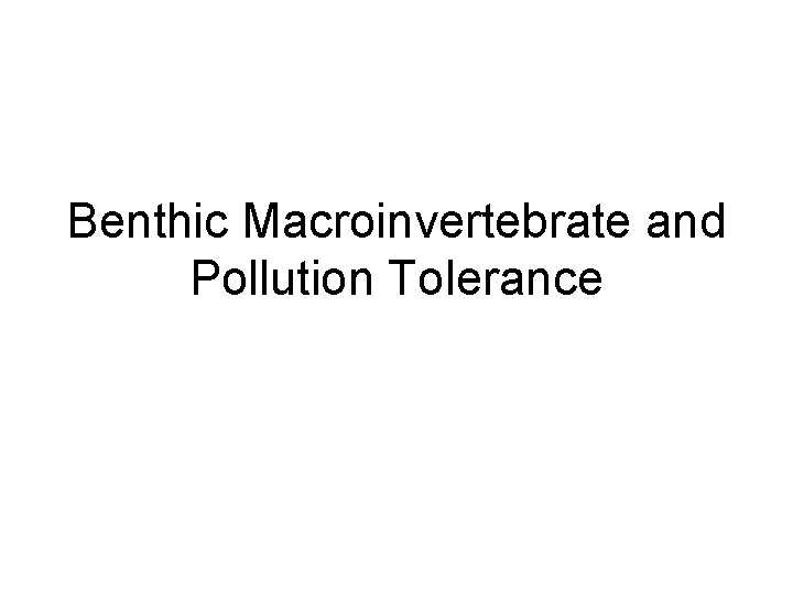 Benthic Macroinvertebrate and Pollution Tolerance 