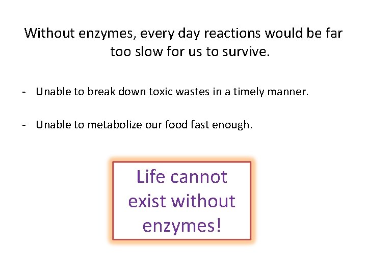 Without enzymes, every day reactions would be far too slow for us to survive.