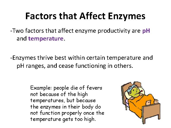 Factors that Affect Enzymes -Two factors that affect enzyme productivity are p. H and