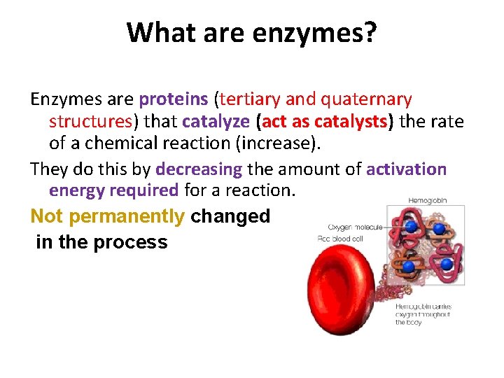 What are enzymes? Enzymes are proteins (tertiary and quaternary structures) that catalyze (act as