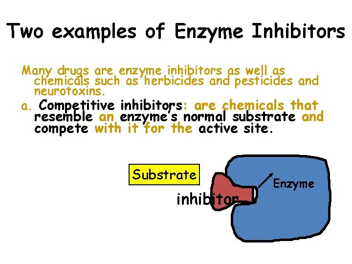 Two examples of Enzyme Inhibitors Many drugs are enzyme inhibitors as well as chemicals