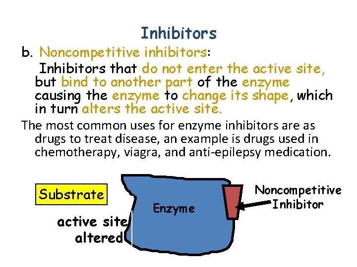 Inhibitors b. Noncompetitive inhibitors: Inhibitors that do not enter the active site, site but