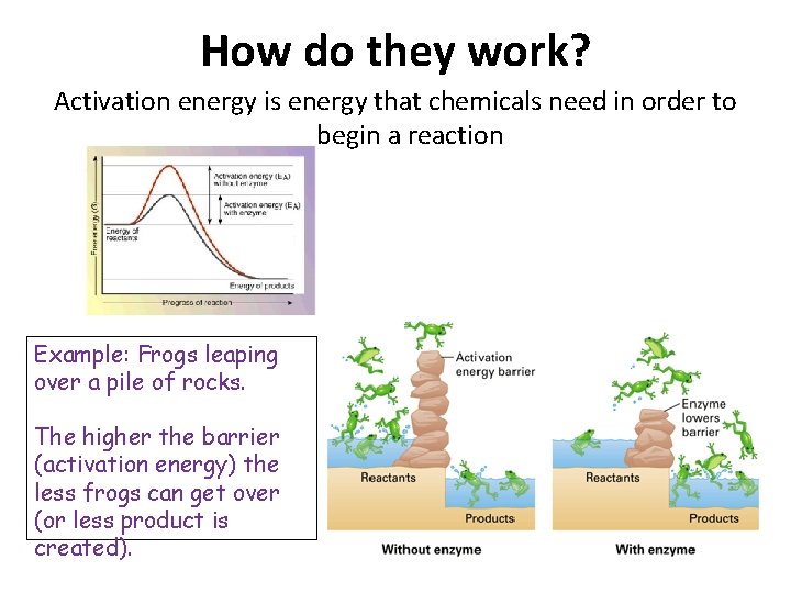 How do they work? Activation energy is energy that chemicals need in order to