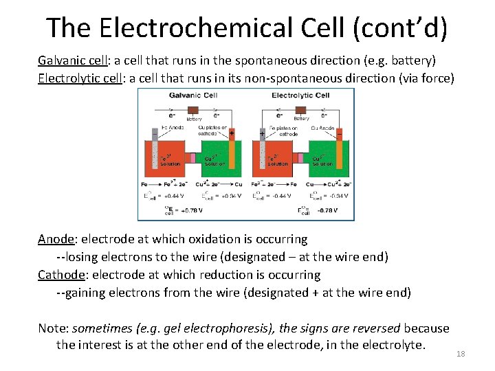 The Electrochemical Cell (cont’d) Galvanic cell: a cell that runs in the spontaneous direction