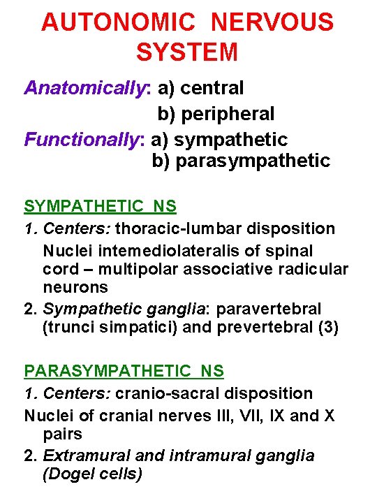 AUTONOMIC NERVOUS SYSTEM Anatomically: a) central b) peripheral Functionally: a) sympathetic b) parasympathetic SYMPATHETIC