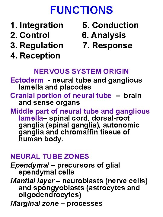 FUNCTIONS 1. Integration 5. Conduction 2. Control 6. Analysis 3. Regulation 7. Response 4.