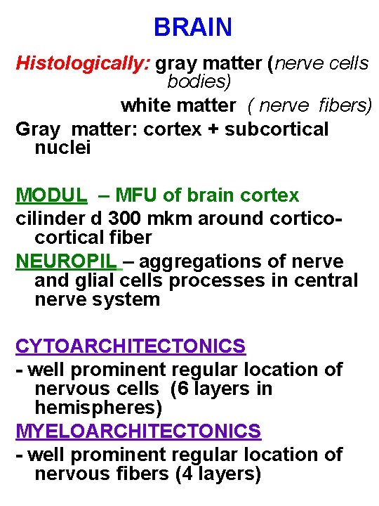 BRAIN Histologically: gray matter (nerve cells bodies) white matter ( nerve fibers) Gray matter: