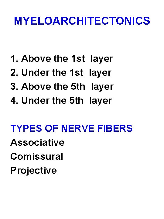 MYELOARCHITECTONICS 1. Above the 1 st layer 2. Under the 1 st layer 3.