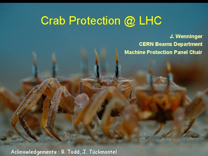 Crab Protection @ LHC J. Wenninger 16. 09. 2009 MPS Aspects of Crab Cavities