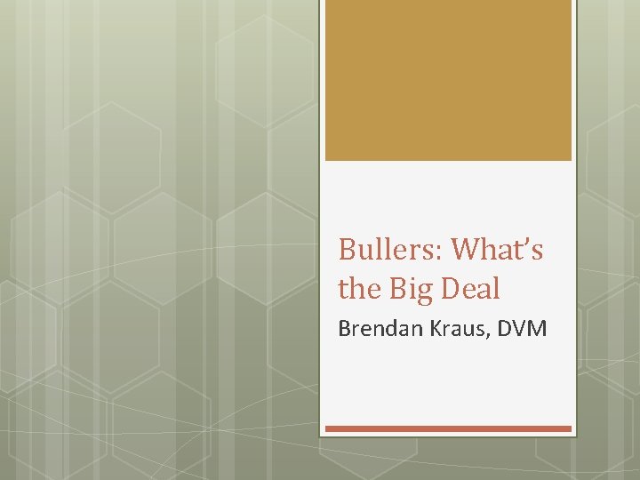 Bullers: What’s the Big Deal Brendan Kraus, DVM 