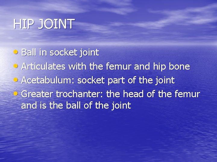 HIP JOINT • Ball in socket joint • Articulates with the femur and hip