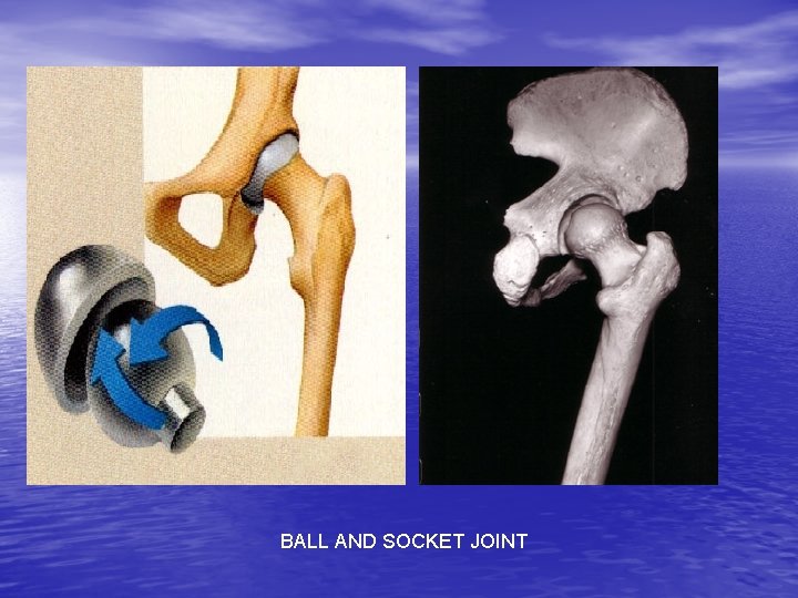 BALL AND SOCKET JOINT 
