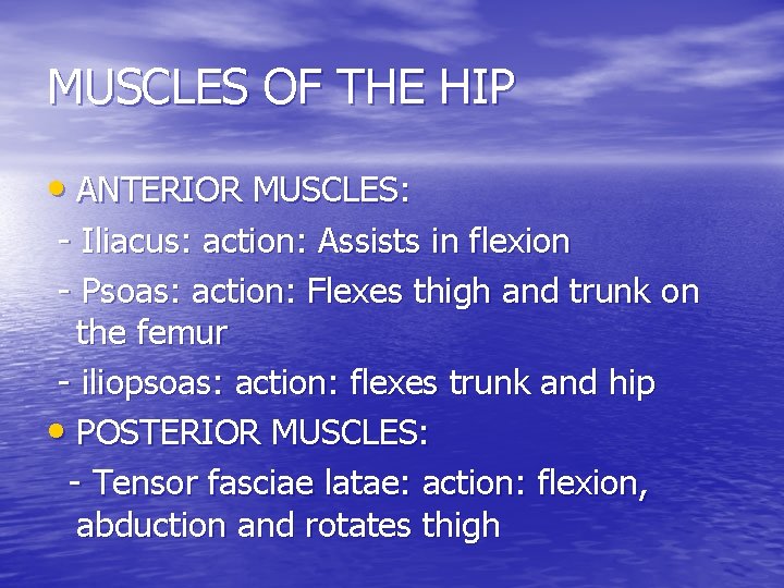 MUSCLES OF THE HIP • ANTERIOR MUSCLES: - Iliacus: action: Assists in flexion -