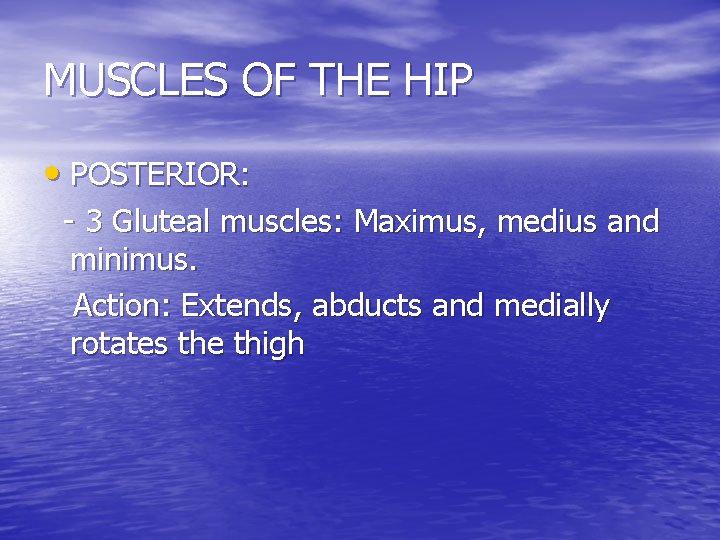 MUSCLES OF THE HIP • POSTERIOR: - 3 Gluteal muscles: Maximus, medius and minimus.