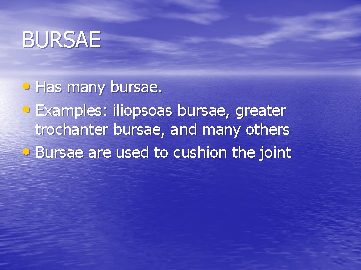 BURSAE • Has many bursae. • Examples: iliopsoas bursae, greater trochanter bursae, and many